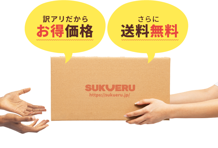 訳アリだからお得価格 さらに送料無料