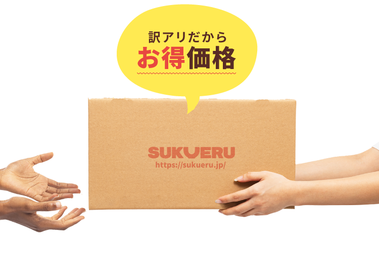 訳アリだからお得価格 さらに送料無料
